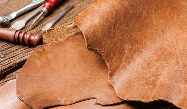 Da Bò Mộc Là Gì? Tìm Hiểu Đầy Đủ Về Định Nghĩa, Quy Trình Sản Xuất, Phân Loại Và Ứng Dụng